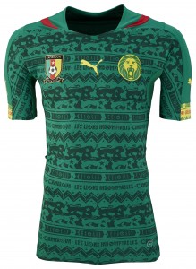 SS14 Cameroon Home Promo ACTV Jersey_744528_01